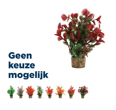 Product image of:ZOLUX ORNAMENT PASTIC PLANT OP STENEN PUNTIG ASSORTI