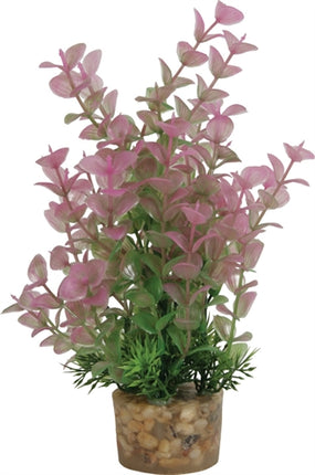 Product image of:ZOLUX ORNAMENT PASTIC PLANT OP STENEN PUNTIG ASSORTI