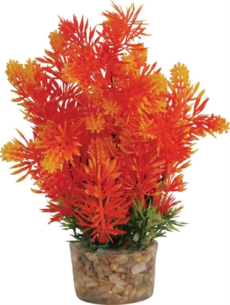 Product image of:ZOLUX ORNAMENT PASTIC PLANT OP STENEN PUNTIG ASSORTI