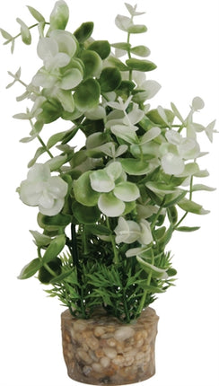 Product image of:ZOLUX ORNAMENT PASTIC PLANT OP STENEN PUNTIG ASSORTI