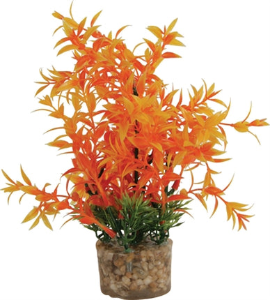 Product image of:ZOLUX ORNAMENT PASTIC PLANT OP STENEN PUNTIG ASSORTI