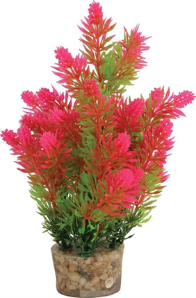 Product image of:ZOLUX ORNAMENT PASTIC PLANT OP STENEN PUNTIG ASSORTI