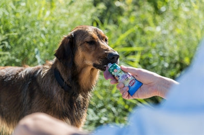 Product image of:TRIXIE VEGGIEPASTA