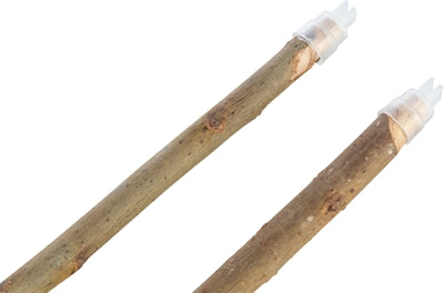 Product image of:TRIXIE ZITSTOKKEN SCHORSHOUT