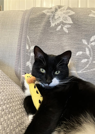 Product image of:ROSEWOOD GRIJPSPEELGOED GIRAFFE MET KNISPER ECO FRIENDLY GERECYCLED