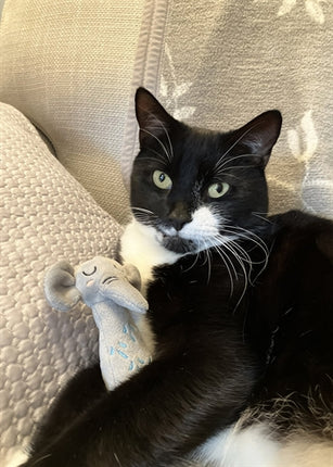 Product image of:ROSEWOOD GRIJPSPEELGOED OLIFANT MET RATEL ECO FRIENDLY GERECYCLED