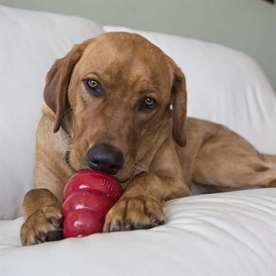 Product image of:KONG SNACKS PINDAKAAS