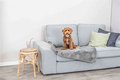 Product image of:TRIXIE HONDENDEKEN LEVY PLUCHE GRIJS