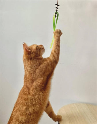 Product image of:MARTIN KATTENSPEELGOED JASON GERECYCLED ASSORTI