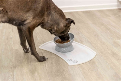 Product image of:TRIXIE VERHOOGDE VOERBAK / WATERBAK KERAMIEK GRIJS