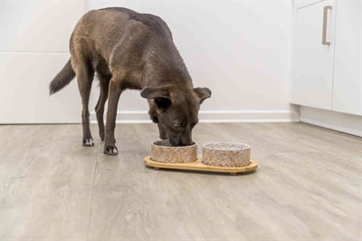 Product image of:TRIXIE SET VOERBAK / WATERBAK KERAMIEK / BAMBOE WIT / NATUUR