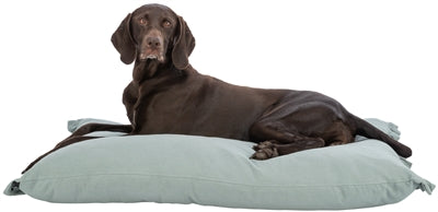 Product image of:TRIXIE HONDENKUSSEN AMELIE HOEKIG SALIEGROEN