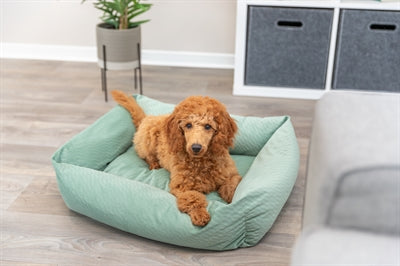 Product image of:TRIXIE HONDENMAND ALENA HOEKIG SALIEGROEN