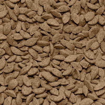 Product image of:BEAPHAR CARE+ CHINCHILLA