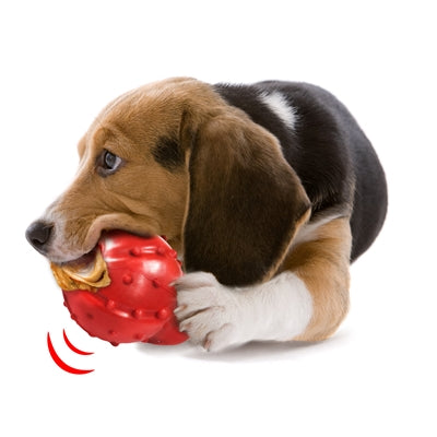 Product image of:NYLABONE STRONG RUBBER CONE BACONSMAAK