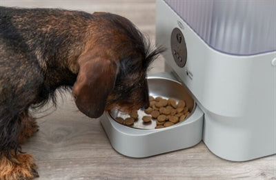 Product image of:TRIXIE VOERAUTOMAAT TX-C SMART LICHTGRIJS