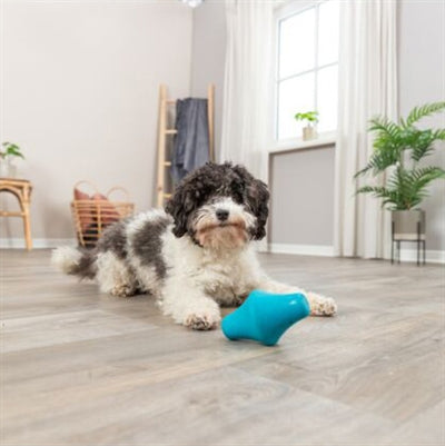 Product image of:TRIXIE SNACKTOL NATUURRUBBER PETROL