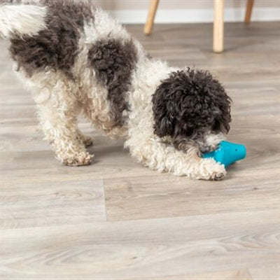 Product image of:TRIXIE SNACKTOL NATUURRUBBER PETROL