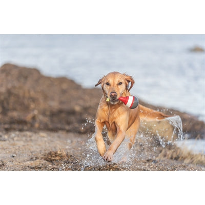 Product image of:TRIXIE AQUA SNACK BOEI TPR