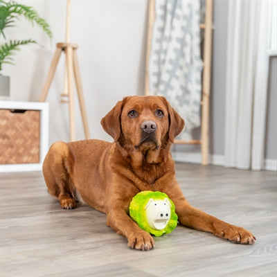 Product image of:TRIXIE KOOLVARKEN LATEX LICHTGROEN