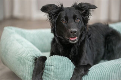 Product image of:TRIXIE HONDENMAND VITAL JONNA RIBFLUWEEL SALIEGROEN