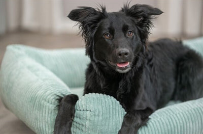 Product image of:TRIXIE HONDENMAND VITAL JONNA RIBFLUWEEL SALIEGROEN