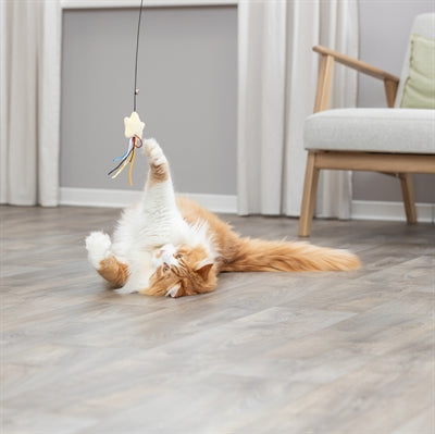 Product image of:TRIXIE KATTENHENGEL STER KUNSTSTOF / PLUCHE MET CATNIP