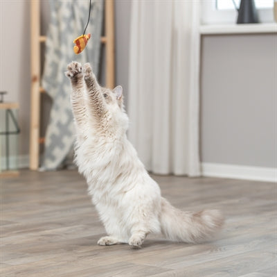 Product image of:TRIXIE KATTENHENGEL VIS KUNSTSTOF / PLUCHE