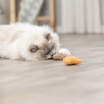 Product image of:TRIXIE BEER PLUCHE MET CATNIP ASSORTI