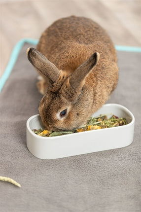 Product image of:TRIXIE VOERBAK / DRINKBAK OVAAL KERAMIEK ASSORTI