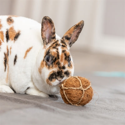 Product image of:TRIXIE KOKOSBAL