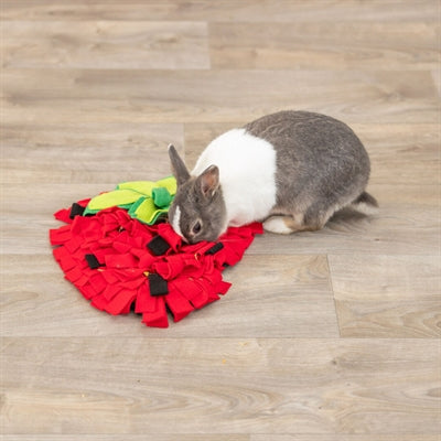 Product image of:TRIXIE SNUFFELMAT AARDBEI ROOD