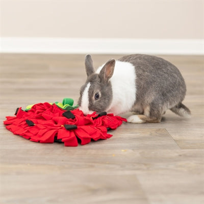 Product image of:TRIXIE SNUFFELMAT AARDBEI ROOD