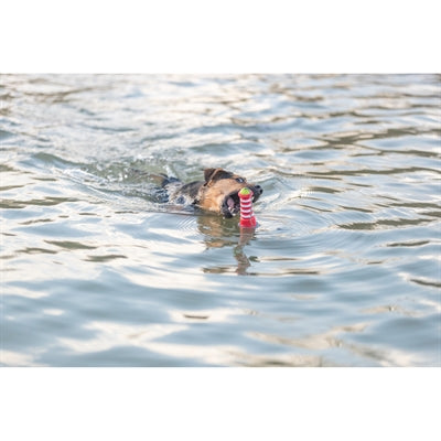 Product image of:TRIXIE AQUA VUURTOREN TPR