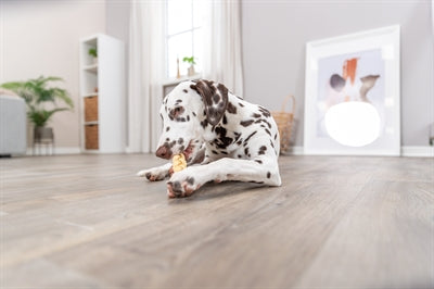 Product image of:TRIXIE BUFFELKOPHUID GEVLOCHTEN