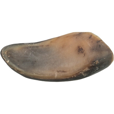 Product image of:TRIXIE BUFFELHOORN GEVULD MET BUFFELPEES