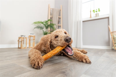 Product image of:TRIXIE DENTA FUN ROLL VAN COLLAGEEN MET KIP