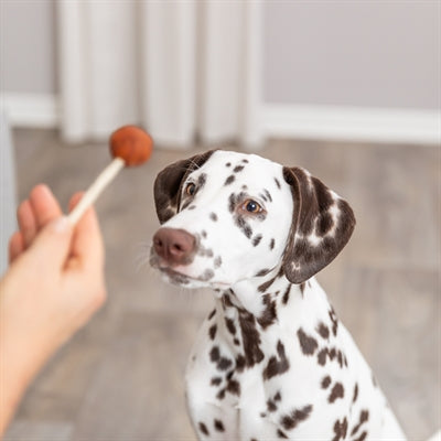 Product image of:TRIXIE PREMIO LOLLY MET KABELJAUW