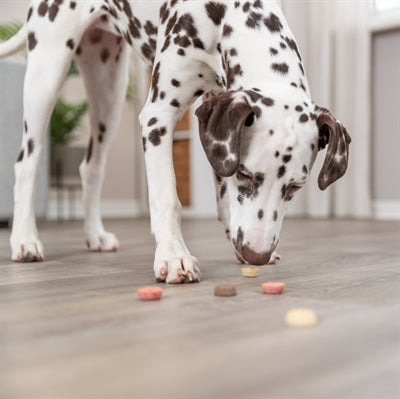 Product image of:TRIXIE VEGAN COOKIE SNACK LOOPS