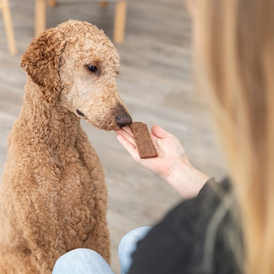 Product image of:TRIXIE PREMIO FILETS LAM