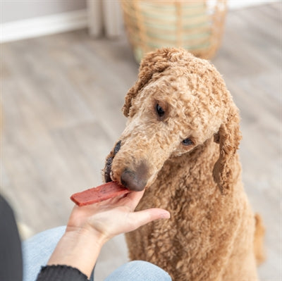 Product image of:TRIXIE PREMIO FILETS RUND