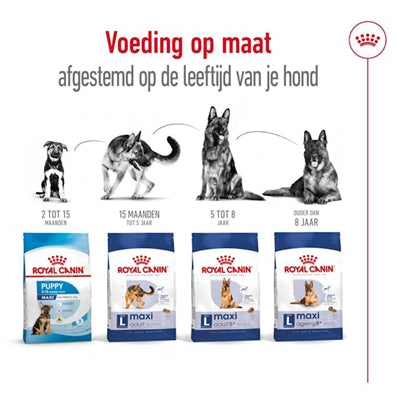 Product image of:ROYAL CANIN MAXI ADULT