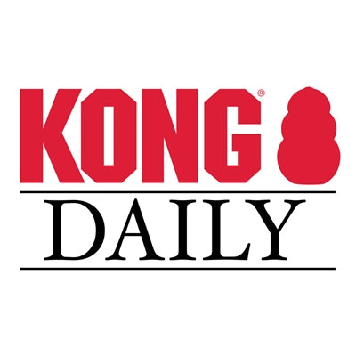 Product image of:KONG DAILY NEWSPAPER KRANT