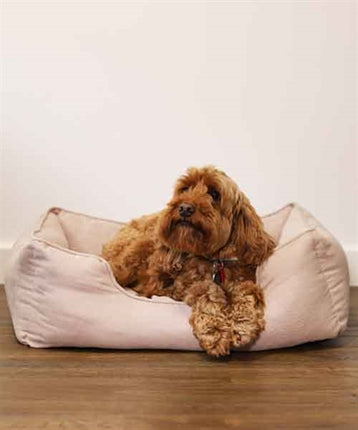 Product image of:ROSEWOOD 40 WINKS HONDENMAND THIN TWILL BEIGE