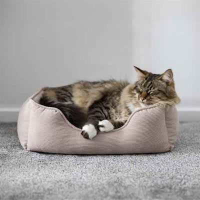 Product image of:ROSEWOOD 40 WINKS HONDENMAND CORD RIBSTOF BEIGE