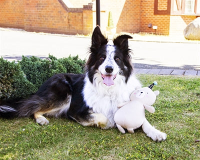 Product image of:ROSEWOOD PIPPA PARTY BEER