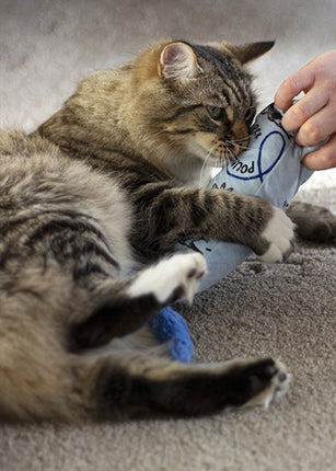 Product image of:BATTERSEA CAT KICKER PRINT BLAUW ASSORTI