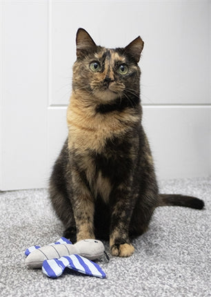 Product image of:BATTERSEA VLINDER EN LIBELLE DUO BLAUW