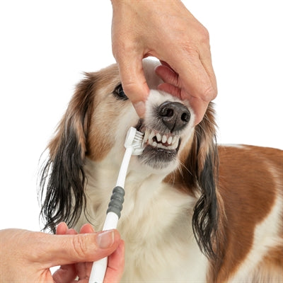 Product image of:TRIXIE 3-KOPPIGE TANDENBORSTEL HOND / KAT WIT / GRIJS