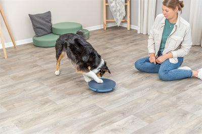 Product image of:TRIXIE DOG ACTIVITY ROCKING MAZE KUNSTSTOF